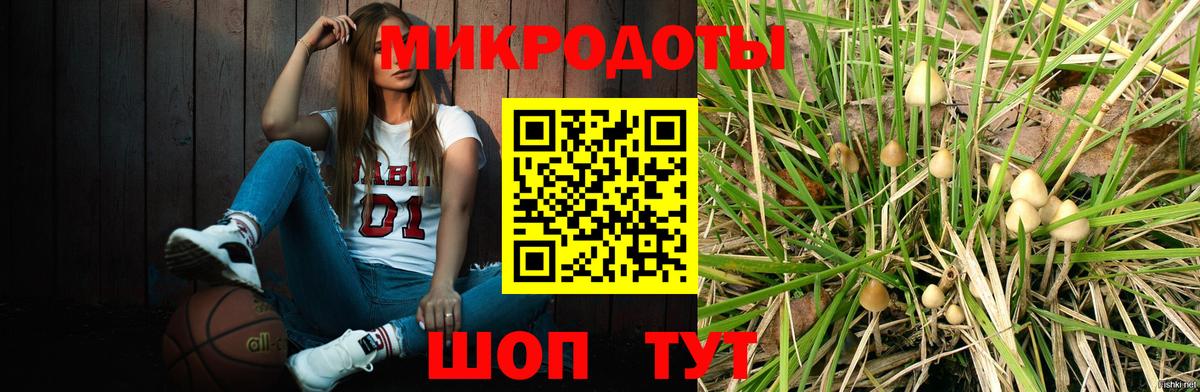Псилоцибиновые грибы мухоморы Звенигород
