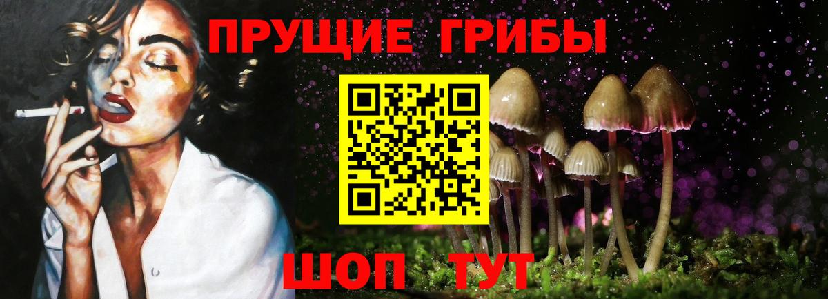 Звенигород  Галлюциногенные грибы Psilocybe  Галлюциногенные грибы Psilocybine cubensis  Вход с VPN 