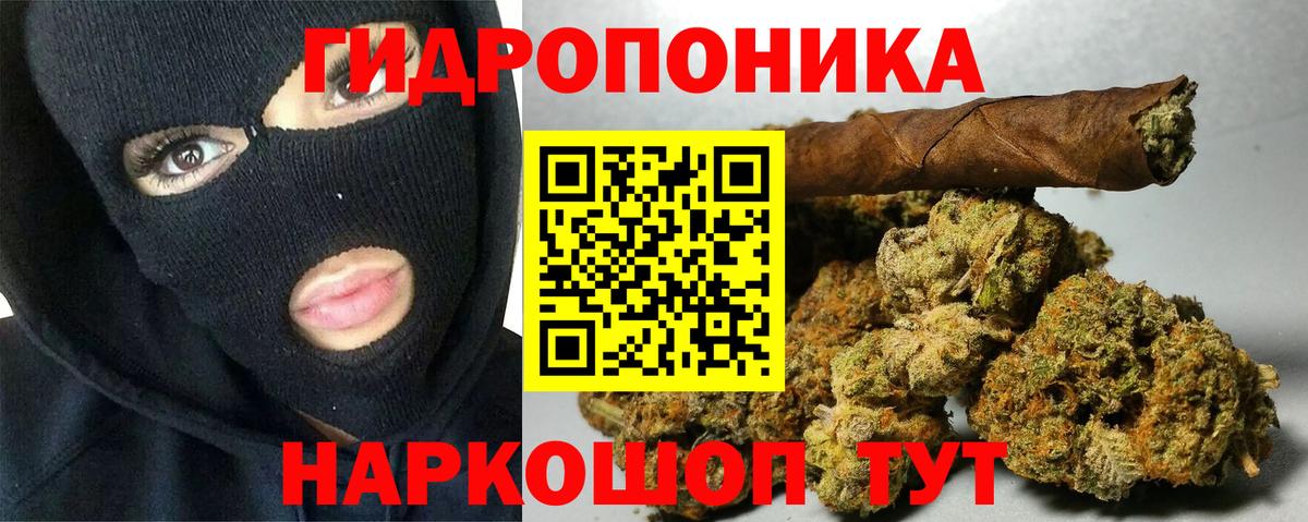 Бошки марихуана OG Kush Звенигород